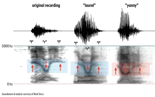 Le frequenze di Yanny e Laurel nel dettaglio. Credits: www.popsci.com