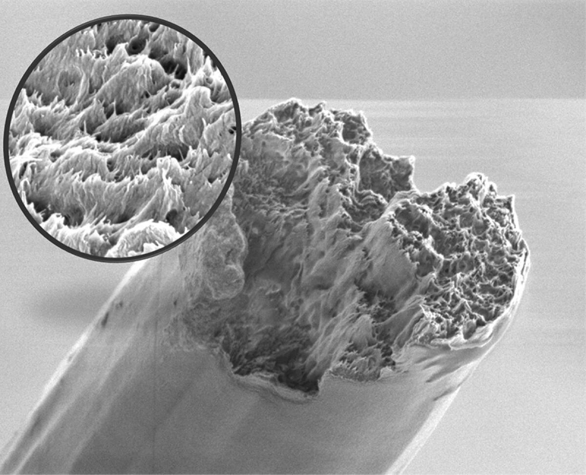Nanofibre di cellulosa per il materiale del futuro - kth.se