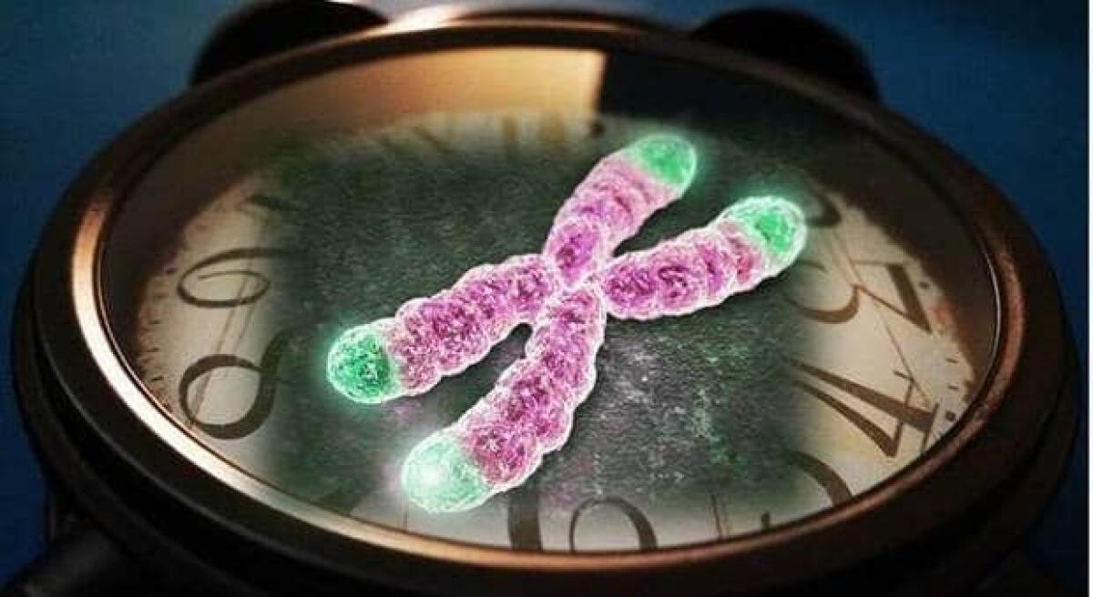 Invecchiamento: la spiegazione del perchè è impossibile non invecchiare - 