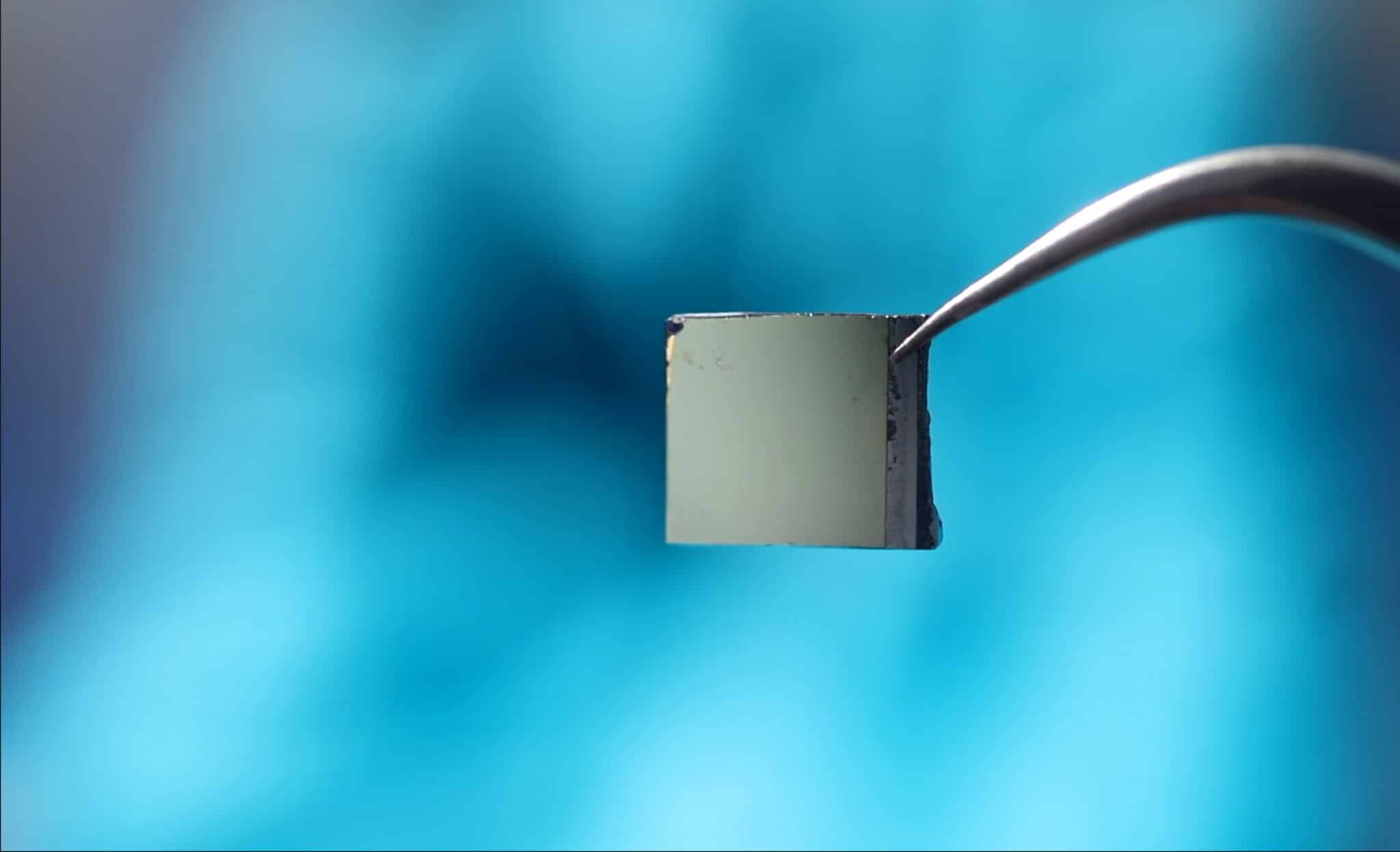 ll nuovo chip di rilevamento chimico sviluppato dai ricercatori.Ph:buffalo.edu