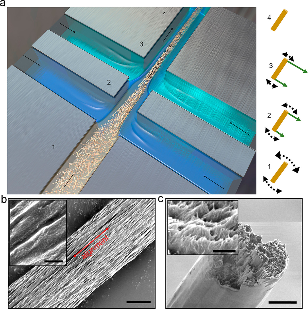 cnf-cellulose-nanofibre-kth-studio-ricerca-materiali-resistenza-robustezza-allineamento-elettrostatica-CuE