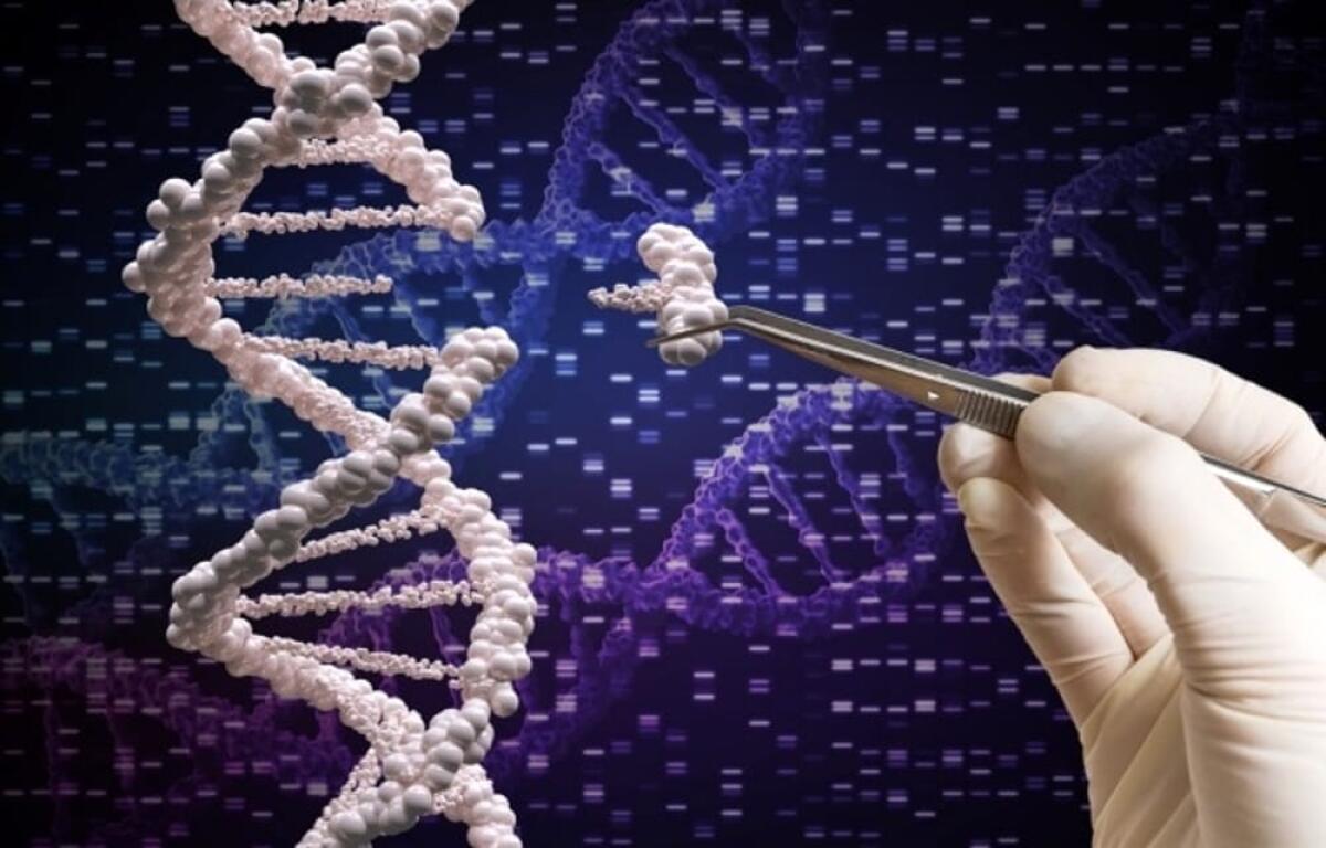Terapia genica: iniziate le prime prove prenatali - 