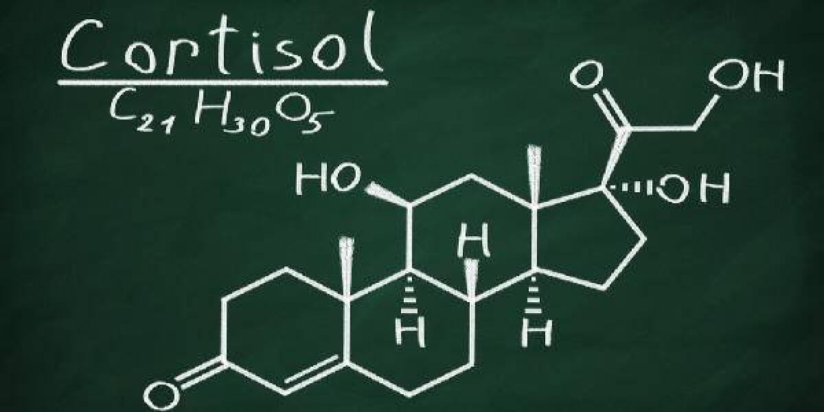 Un cerotto per monitorare il cortisolo e valutare il livello di stress - cortisolo