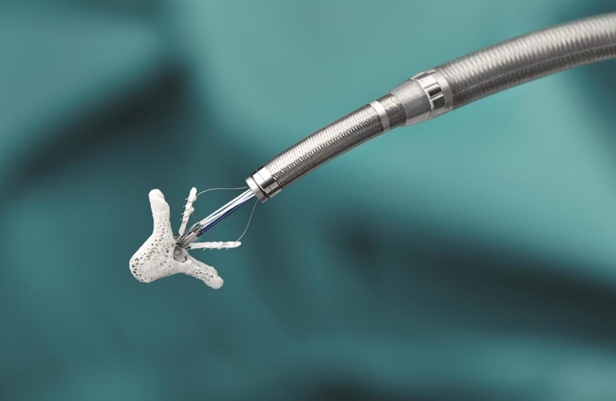 MitraClip: la riparazione della valvola mitrale è disponibile anche in Italia - MitraClip: la riparazione della valvola mitrale è disponibile anche in Italia
Credits: https://premier-healthcare.eu/
