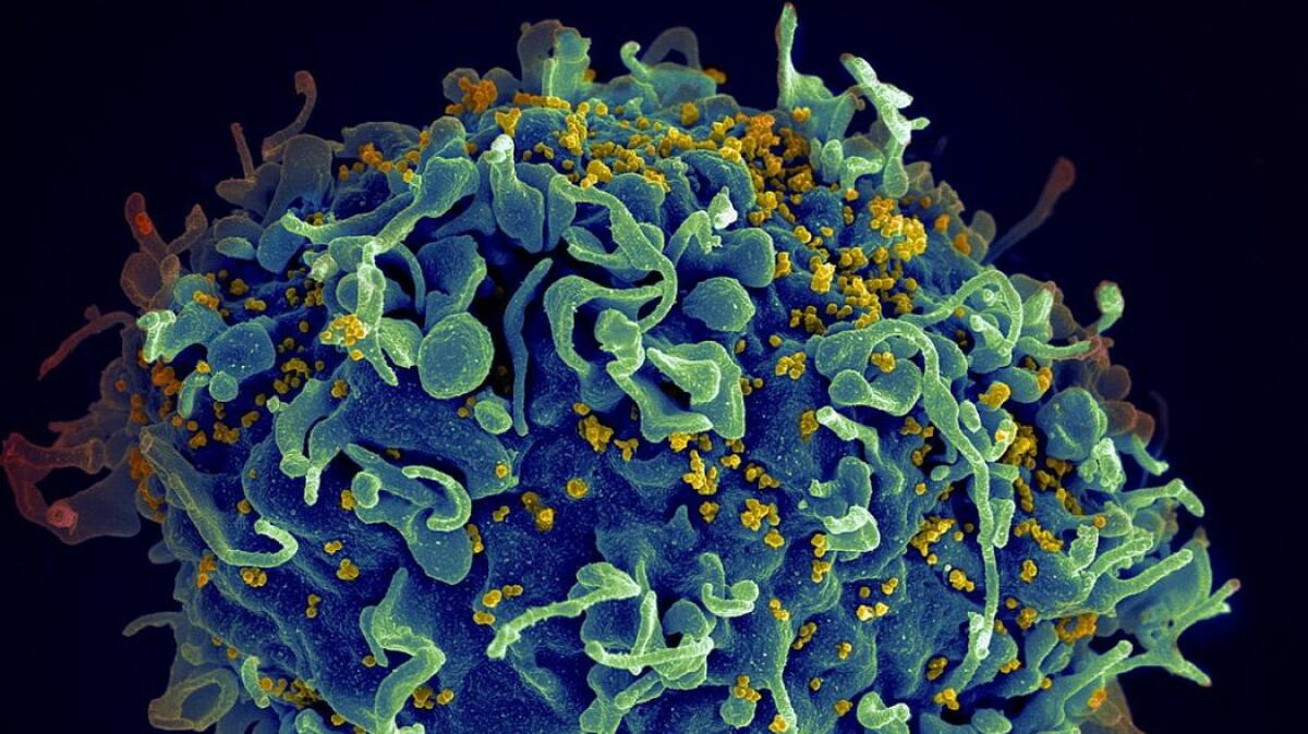 Viperina e ddhCTP: la nostra difesa naturale contro i virus - 