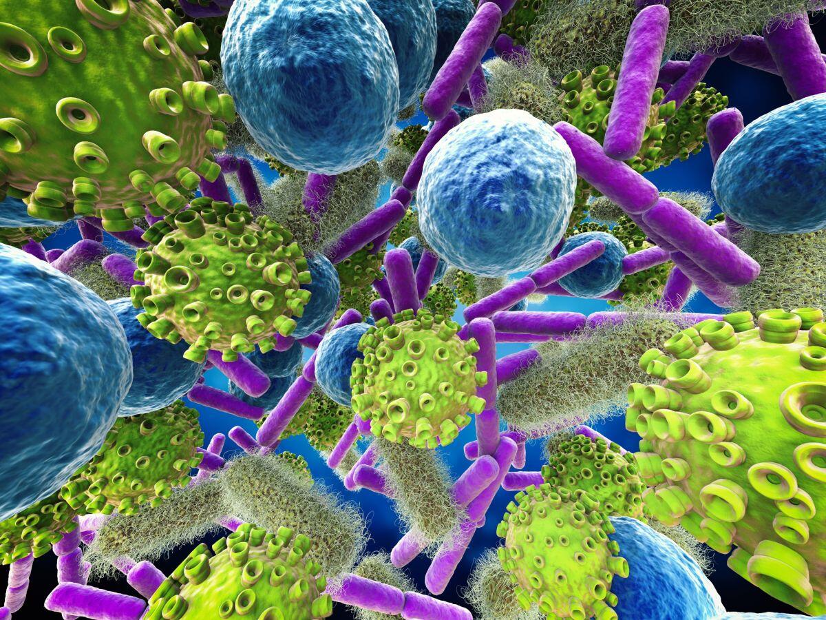 Allerta epidemia, dalle Canarie arriva un batterio multi resistente - Ph. www.cas.sk