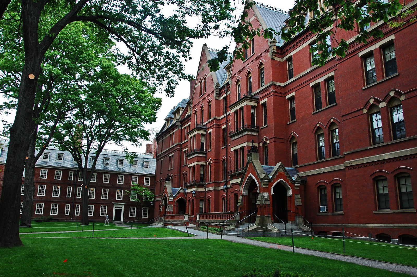 L'Università di Harvard