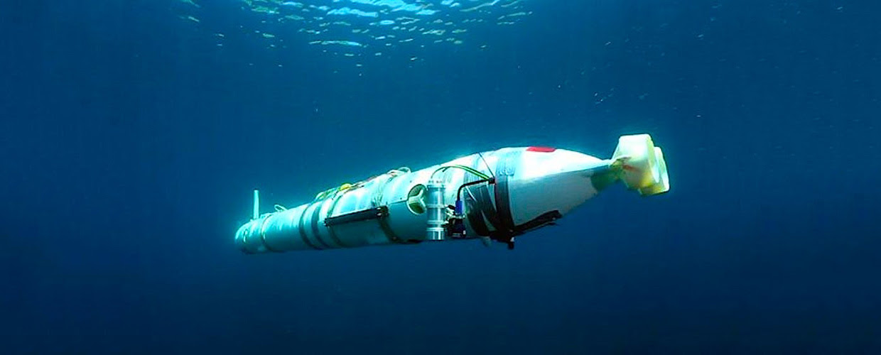 Sea drone: un mare di droni