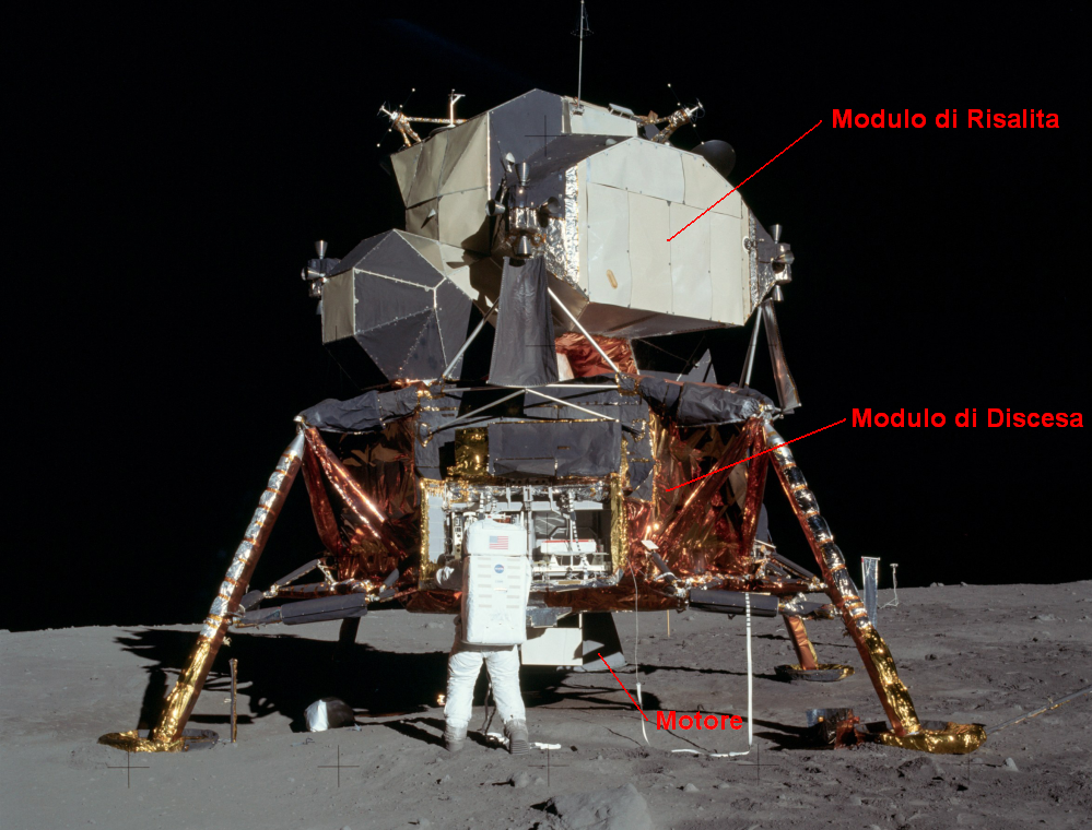 Suddivisione dei due stadi dell’LM. Credits: astronomia.com