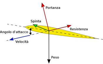 wikipedia.org