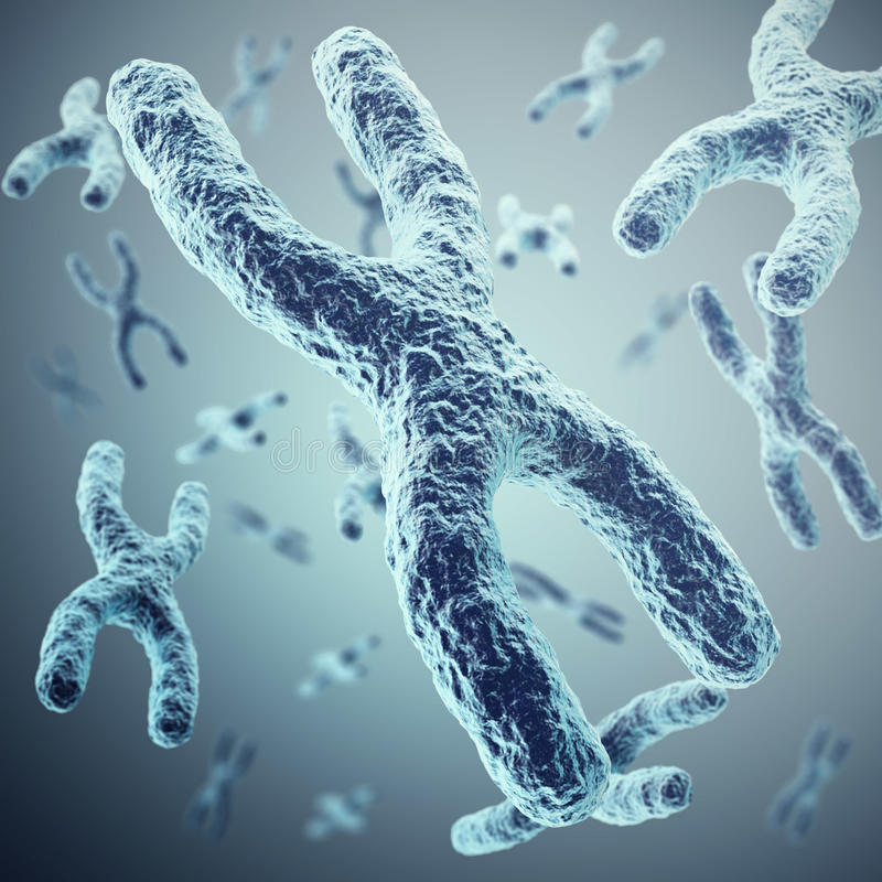 Modello 3D di cromosomi umani