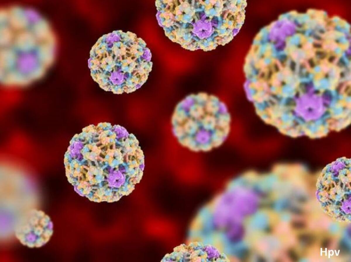 Test anti HPV: ecco cos’è il nuovo metodo di screening - Ph. internationalwebpost.org