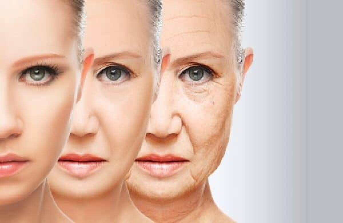Gli scienziati hanno invertito gli effetti dell'invecchiamento nelle cellule umane - 