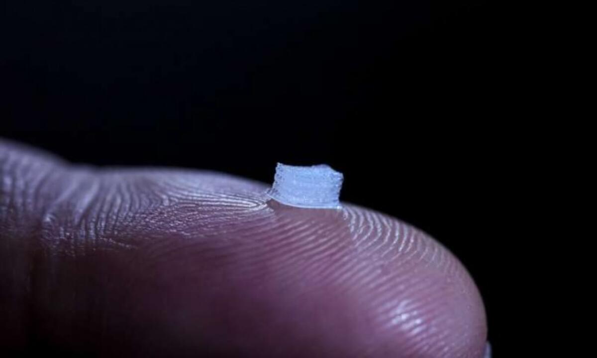 Uno scaffold stampato in 3D per il trattamento delle lesioni spinali - Uno scaffold stampato in 3D per il trattamento delle lesioni spinali
Credits: University of Minnesota