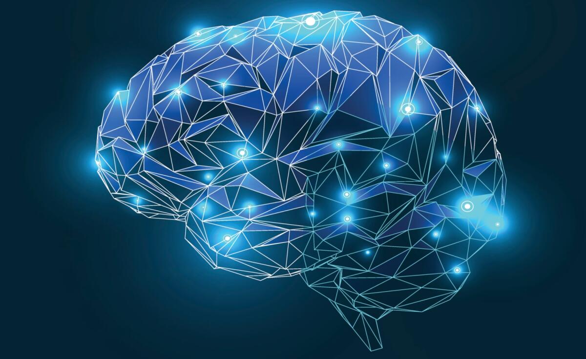 Il ruolo significativo delle onde cerebrali per la memoria - 