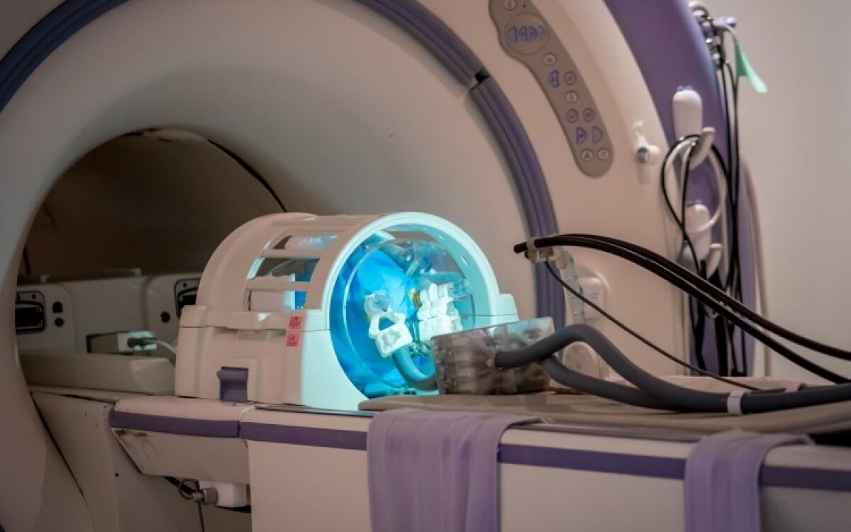 Neurochirurgia: ecco il primo robot che può operare all'interno dello scanner per RM - Neurochirurgia: ecco il primo robot che può operare all'interno dello scanner per RM
Credits: University of Hong Kong
