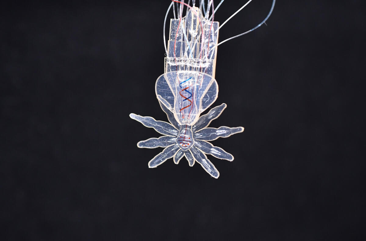 Un ragno robotico per la microchirurgia e l'endoscopia del futuro - ragno robotico