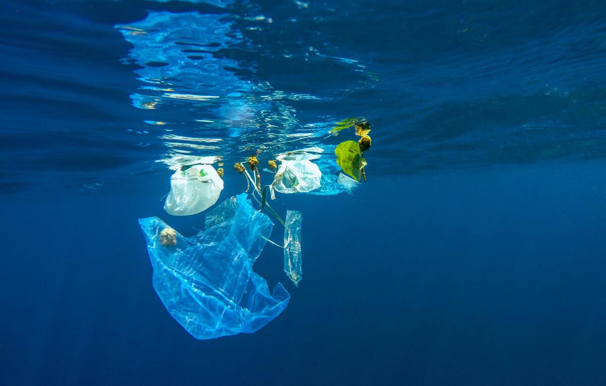 Plastic Bank: la plastica diventa denaro - deeperblue.com