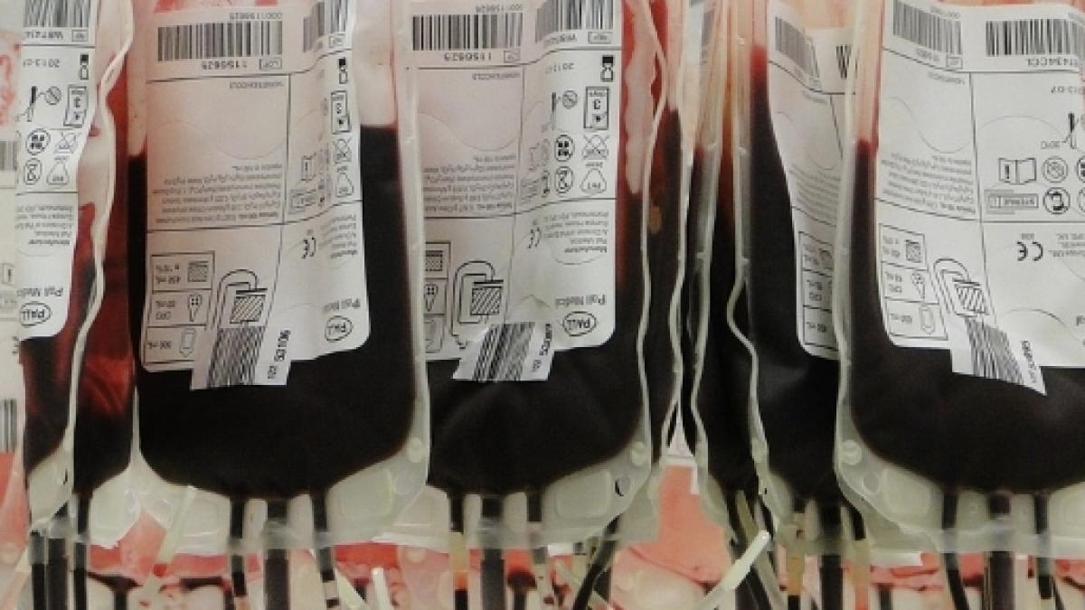 Sangue per tutti: verso la soluzione al problema delle trasfusioni - Ph. blastingnews.com