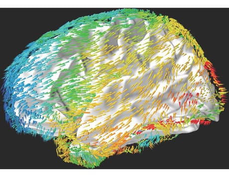 L’illustrazione mostra la direzione media di propagazione delle onde nelle diverse regioni del cervello umano. I colori corrispondono a diverse frequenze delle onde