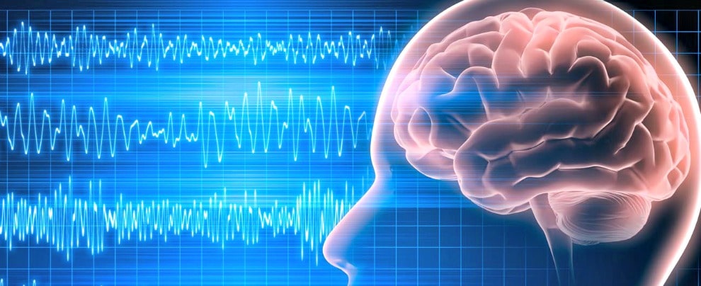 Il ruolo significativo delle onde cerebrali per la memoria
