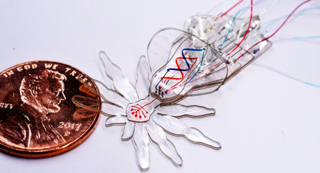 Ph: Wyss Institute at Harvard University