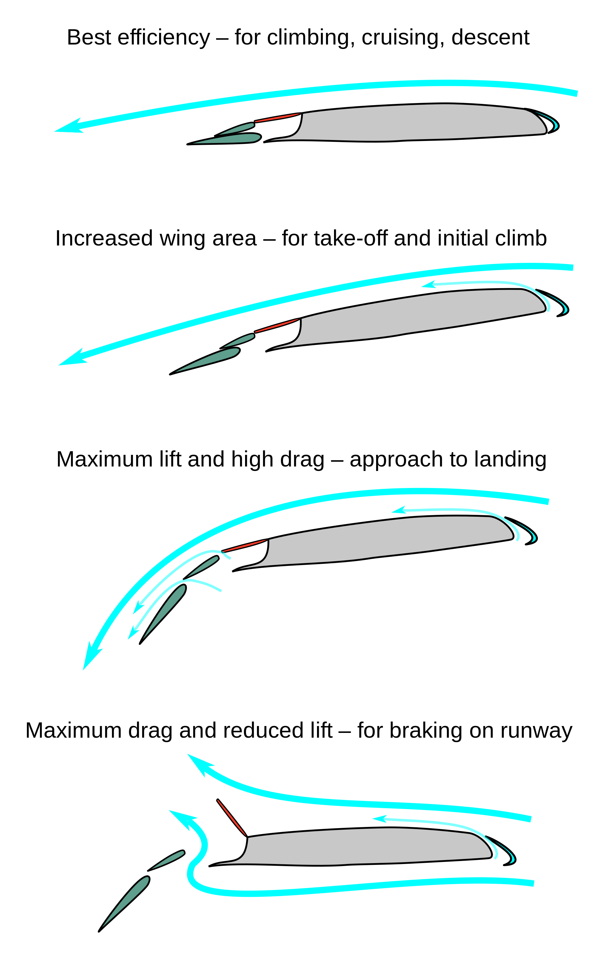 wikimedia.org