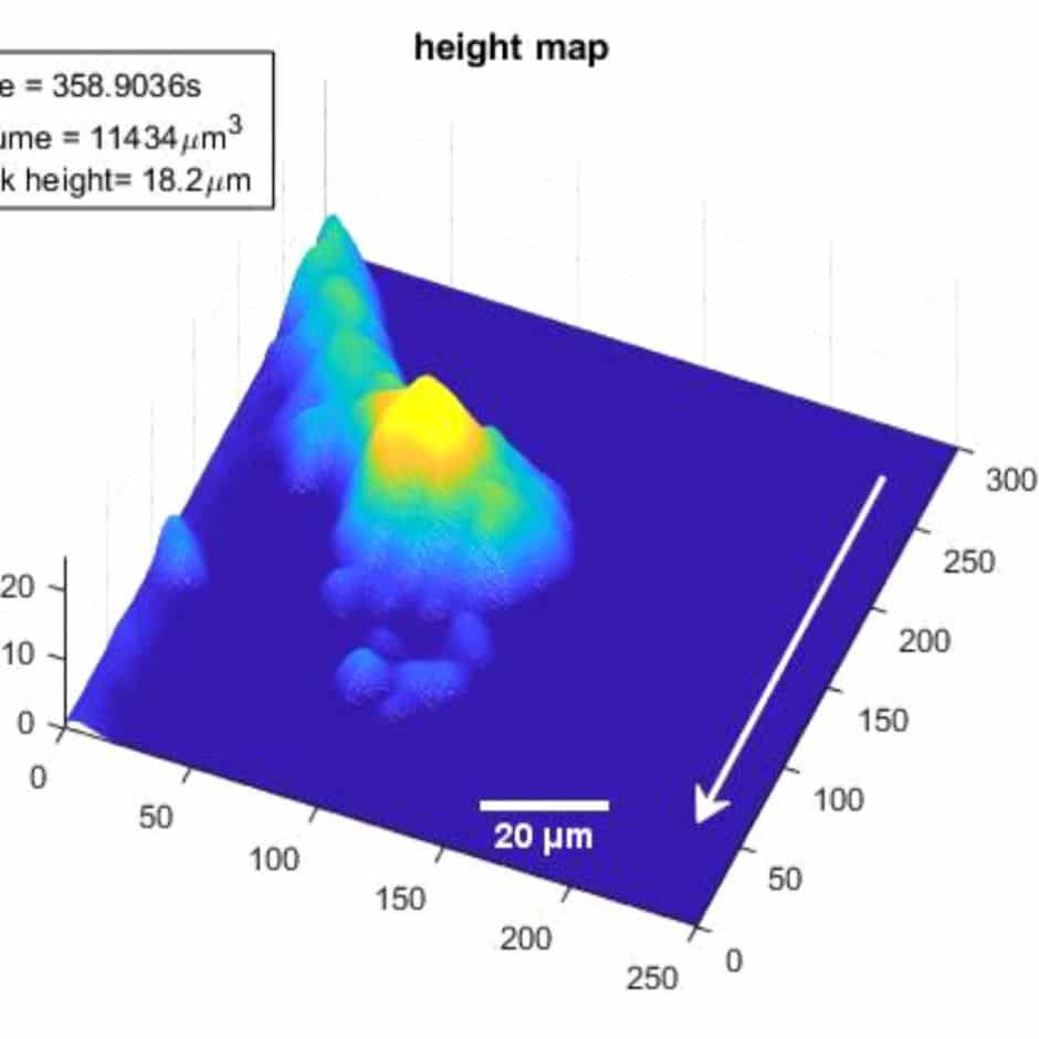 La ricostruzione tridimensionale di un coagulo, crediti: Australian National University