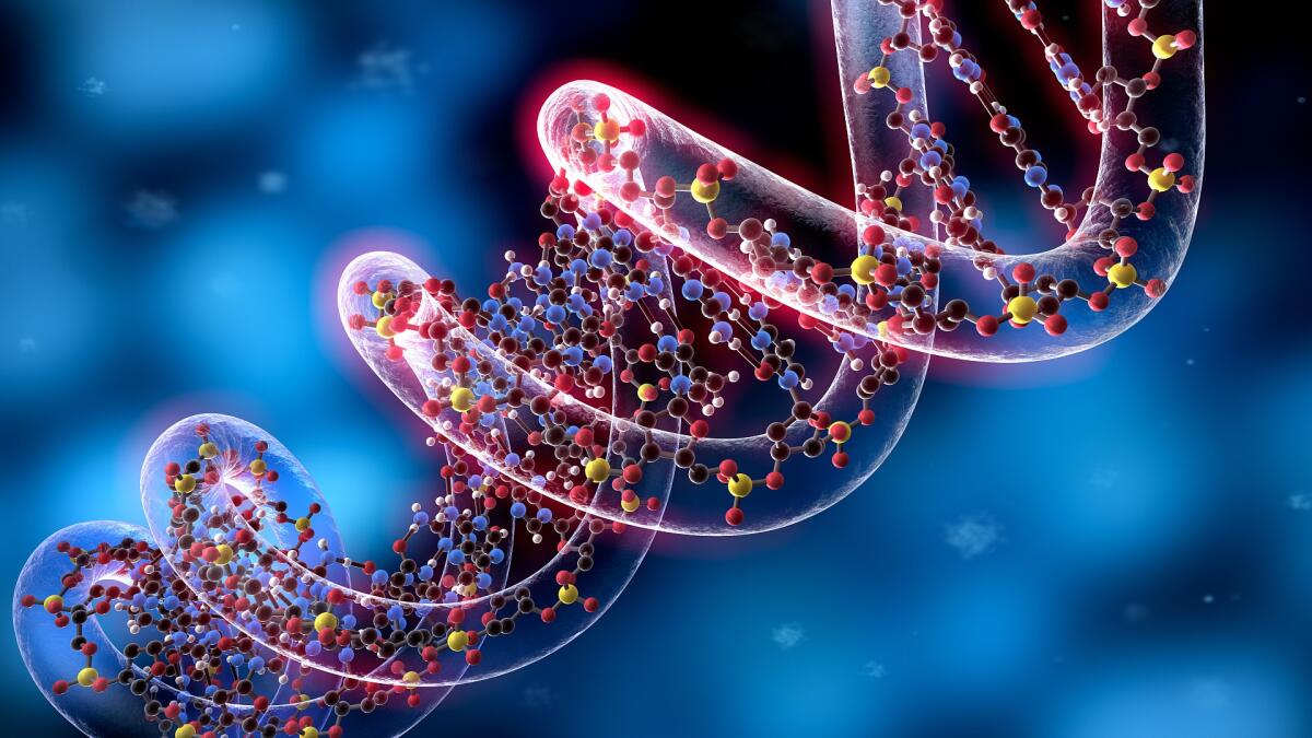 Cellule staminali: un metodo di riprogrammazione cellulare per guarire dalle ferite - 