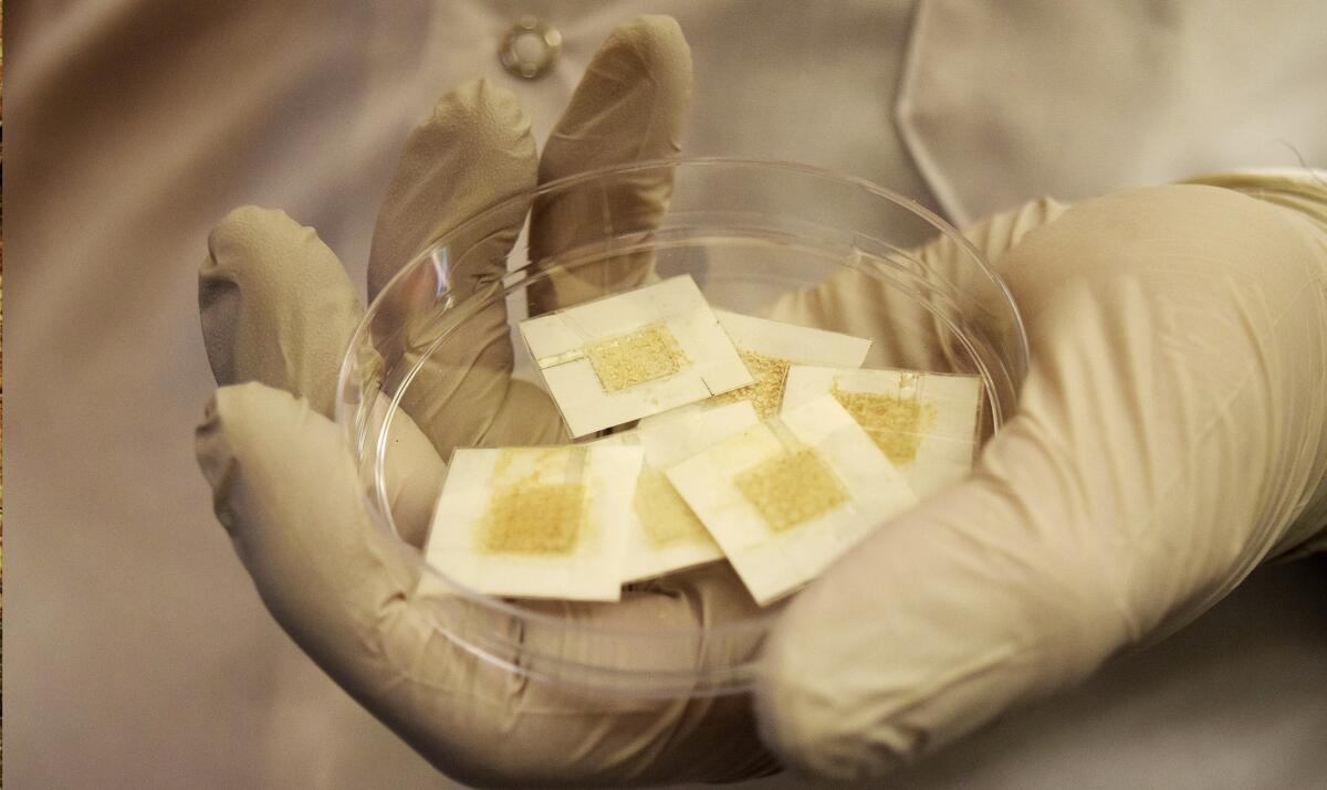 Un nuovo sensore basato sul lievito per quantificare i danni da radiazioni - Ph: Purdue University image/Kayla Wiles