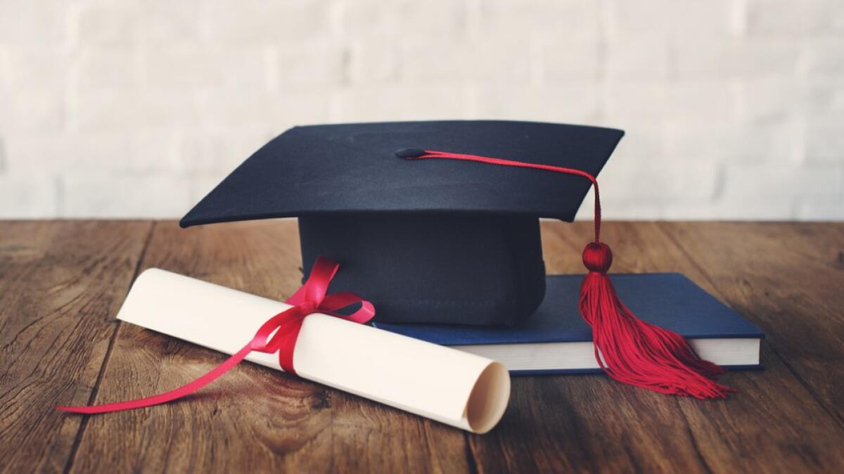 Classifica delle migliori università italiane: in ingegneria civile l'università di Bologna diventa la prima in Italia - 