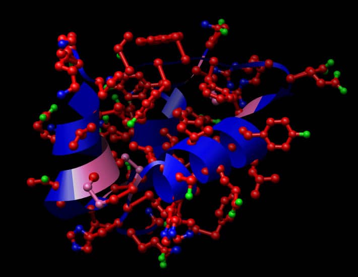 La struttura dell'insulinarosso: carbonio, verde: ossigeno; blu: azoto; rosa: zolfo