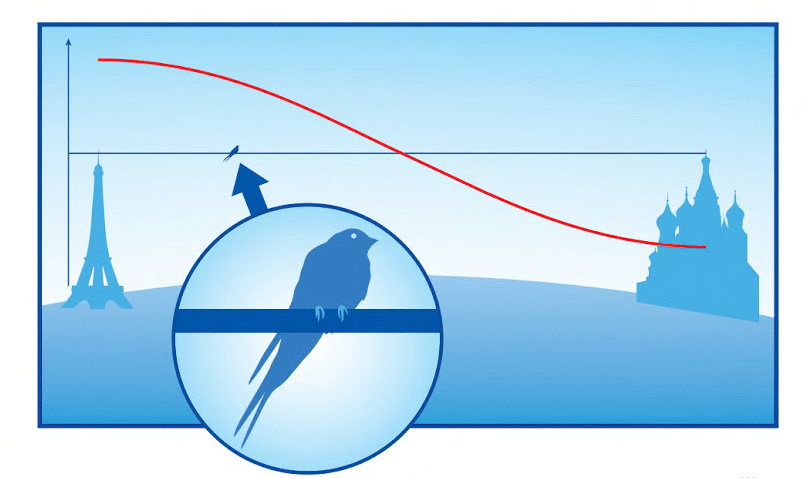Una rappresentazione schematica di un episodio di vita quotidiana. Un uccello è appollaiato su un filo dell'alta tensione, come fa a non essere folgorato?