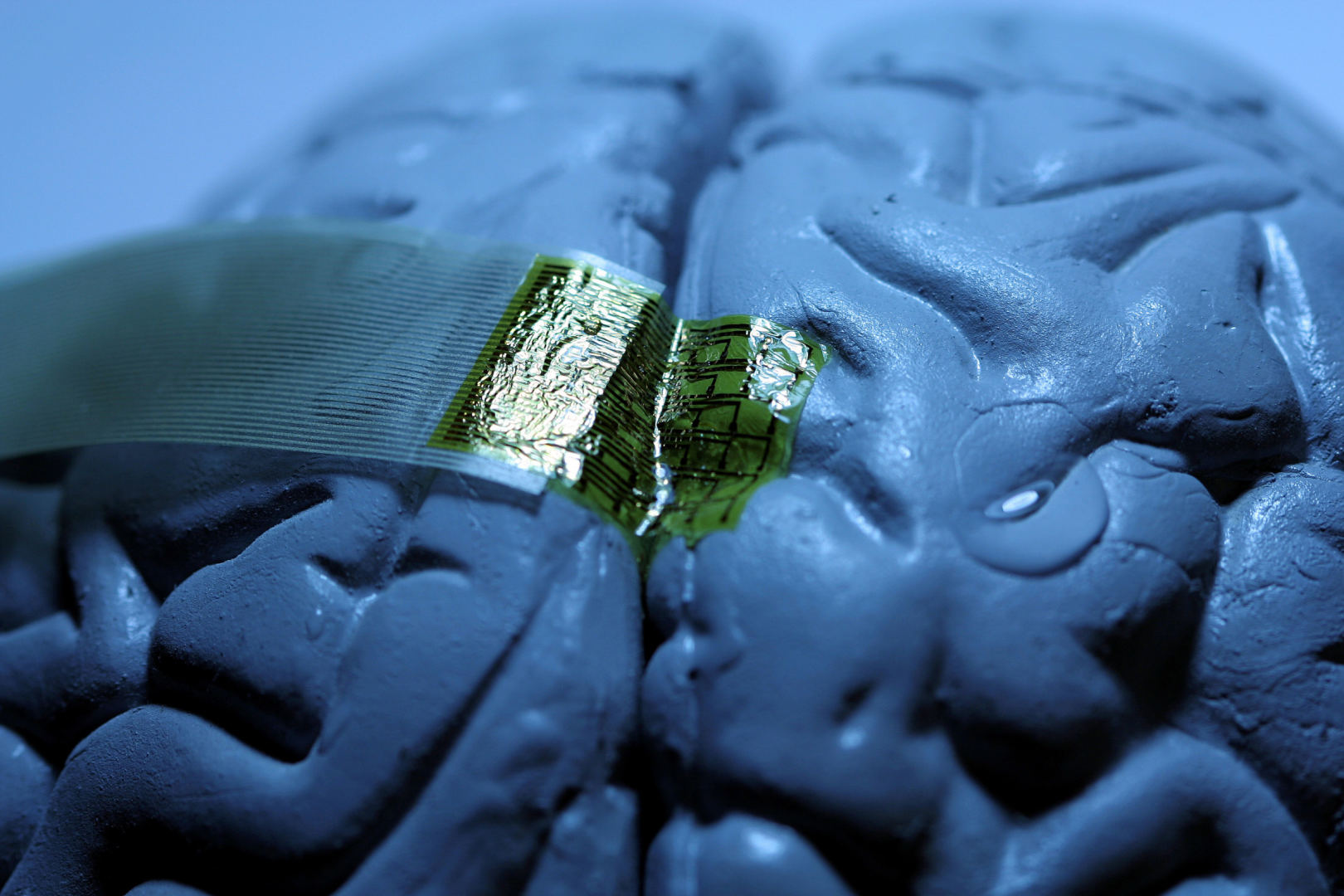 Piattaforma neuronale di elettrodi avvolta su unmodello di cervello PH: ialweb.it