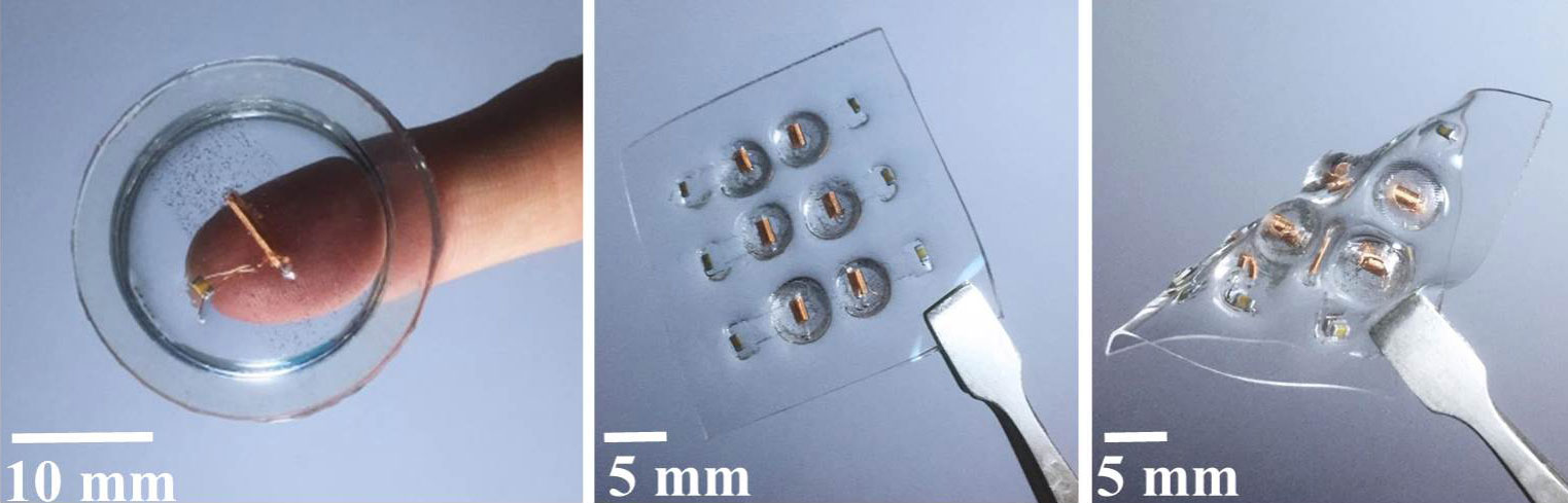 Images: Run-Wei Li et. al/Science Robotics
