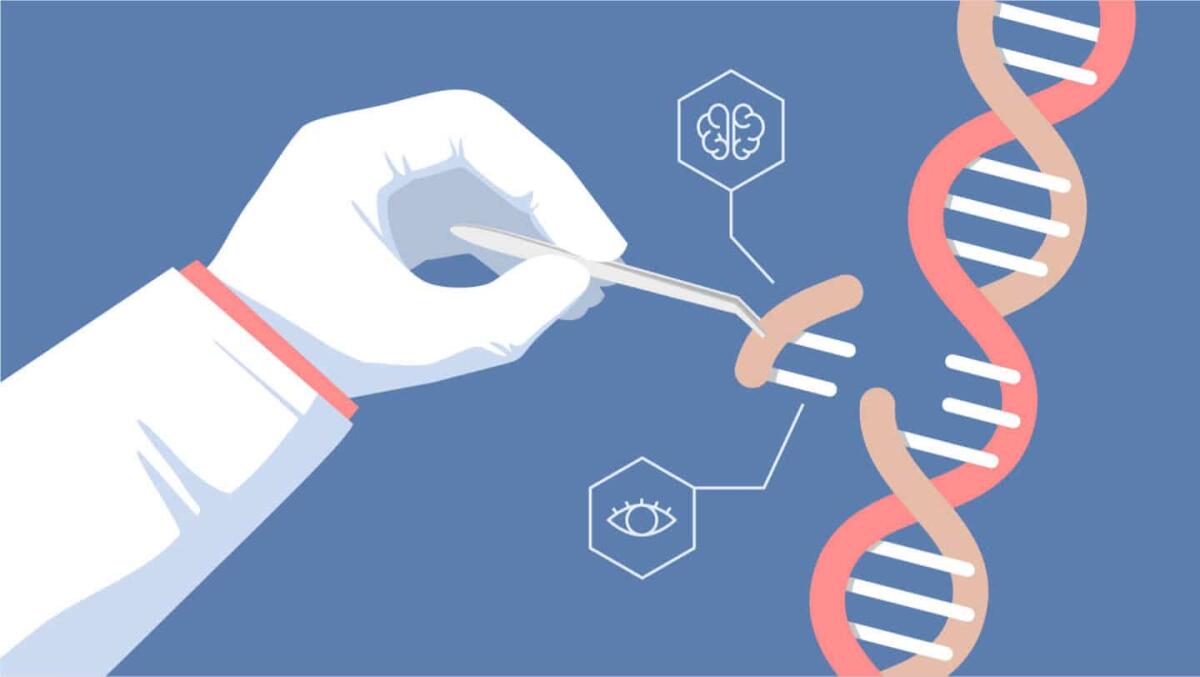 CRISPR :  Distrofia di Duchenne sotto il mirino dei ricercatori - 