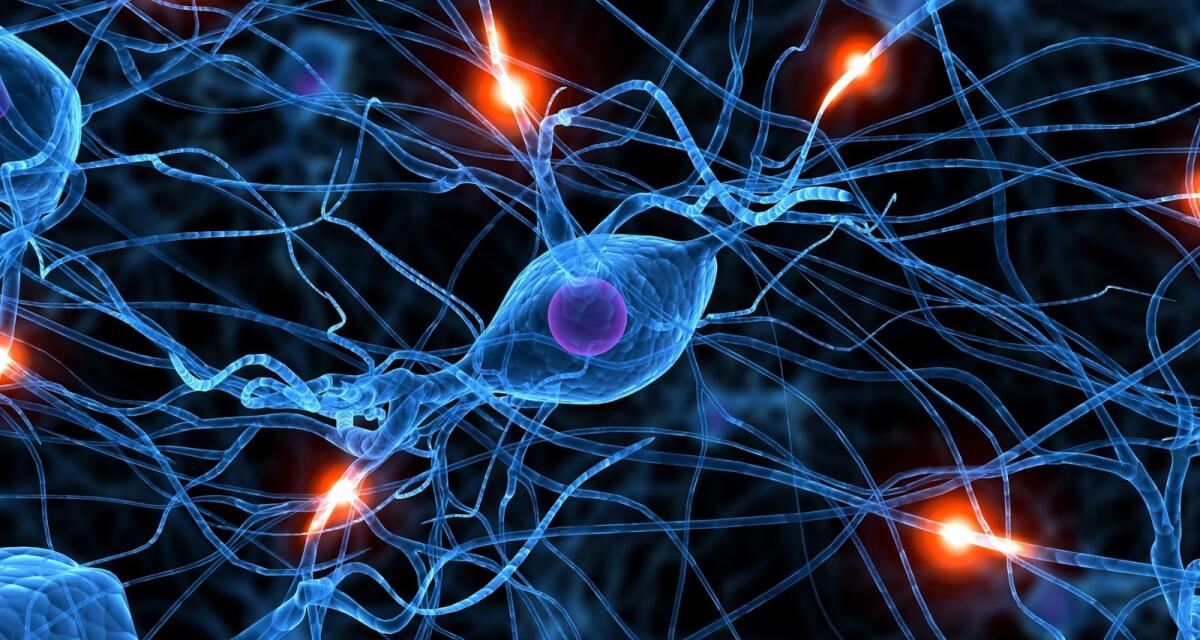 Il primo dispositivo biodegradabile per la rigenerazione dei nervi - 