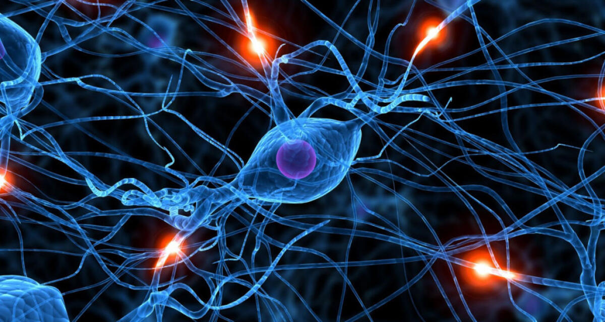 Il primo dispositivo biodegradabile per la rigenerazione dei nervi - 