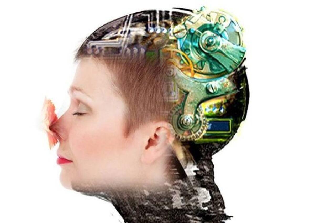 Arriva TruffleBot: il naso elettronico che "annusa" veramente - PH:ansa.it