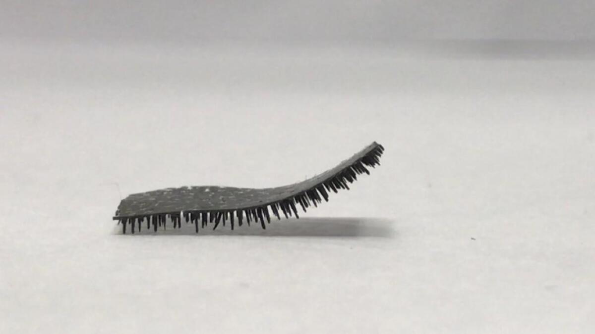 Un mini-robot millepiedi che può "viaggiare" nel corpo umano - Credits: City University di Hong Kong (CityU)