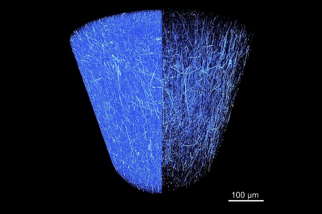 Fibre nanometriche.Image credit: A. Sensini, G. Tozzi.