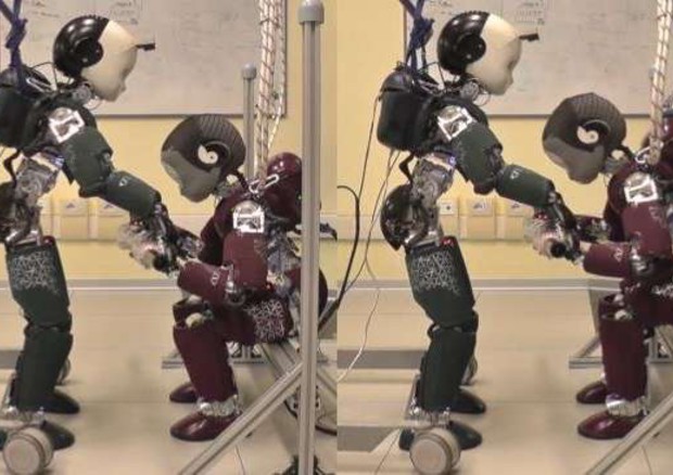 Due Robot imparano a collaborare.Credits ansa.it