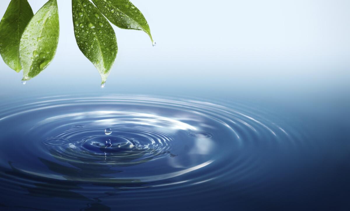 Quanta acqua consumiamo con la nostra dieta? - science.howstuffworks.com