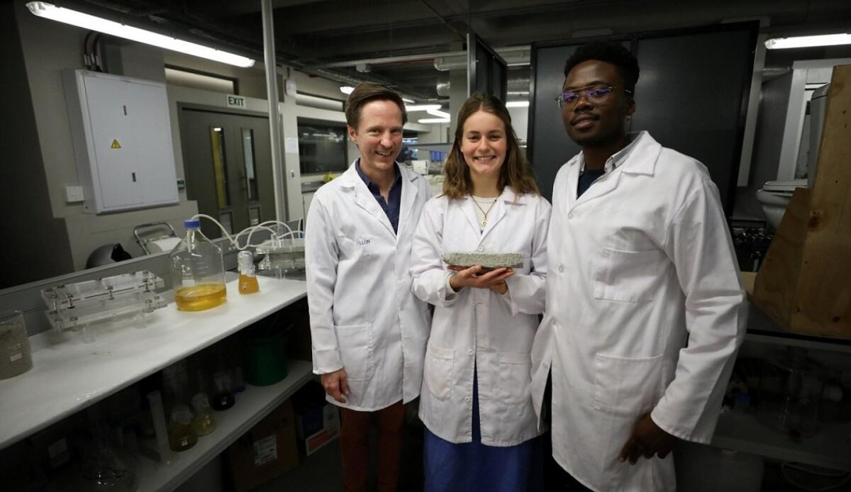 I primi mattoni fatti di urina: ricercatori sudafricani rivoluzionano la bio-edilizia - https://www.lifegate.it/