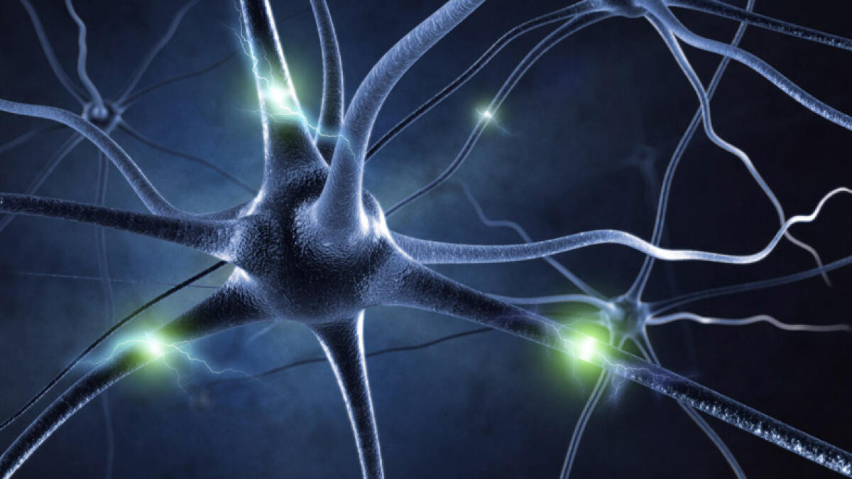 Una piattaforma "nerve-on-a-chip" per neuroprotesi più efficaci - Nerve on a chip