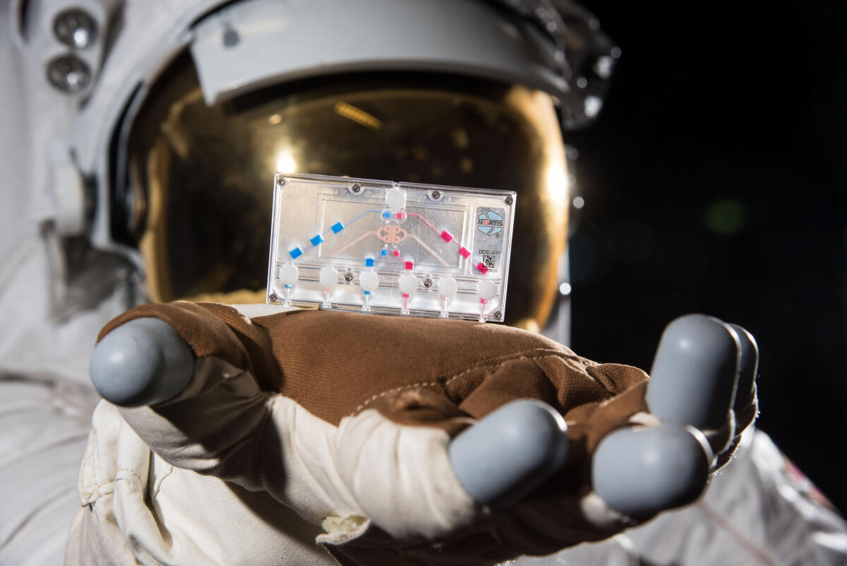 Organi su chip per lo studio dei tessuti in microgravità - PHOTO DATE: July 06, 2018
LOCATION: Bldg. 2 Lobby
SUBJECT: NIH Tissue Chip.
PHOTOGRAPHER: Josh Valcarcel