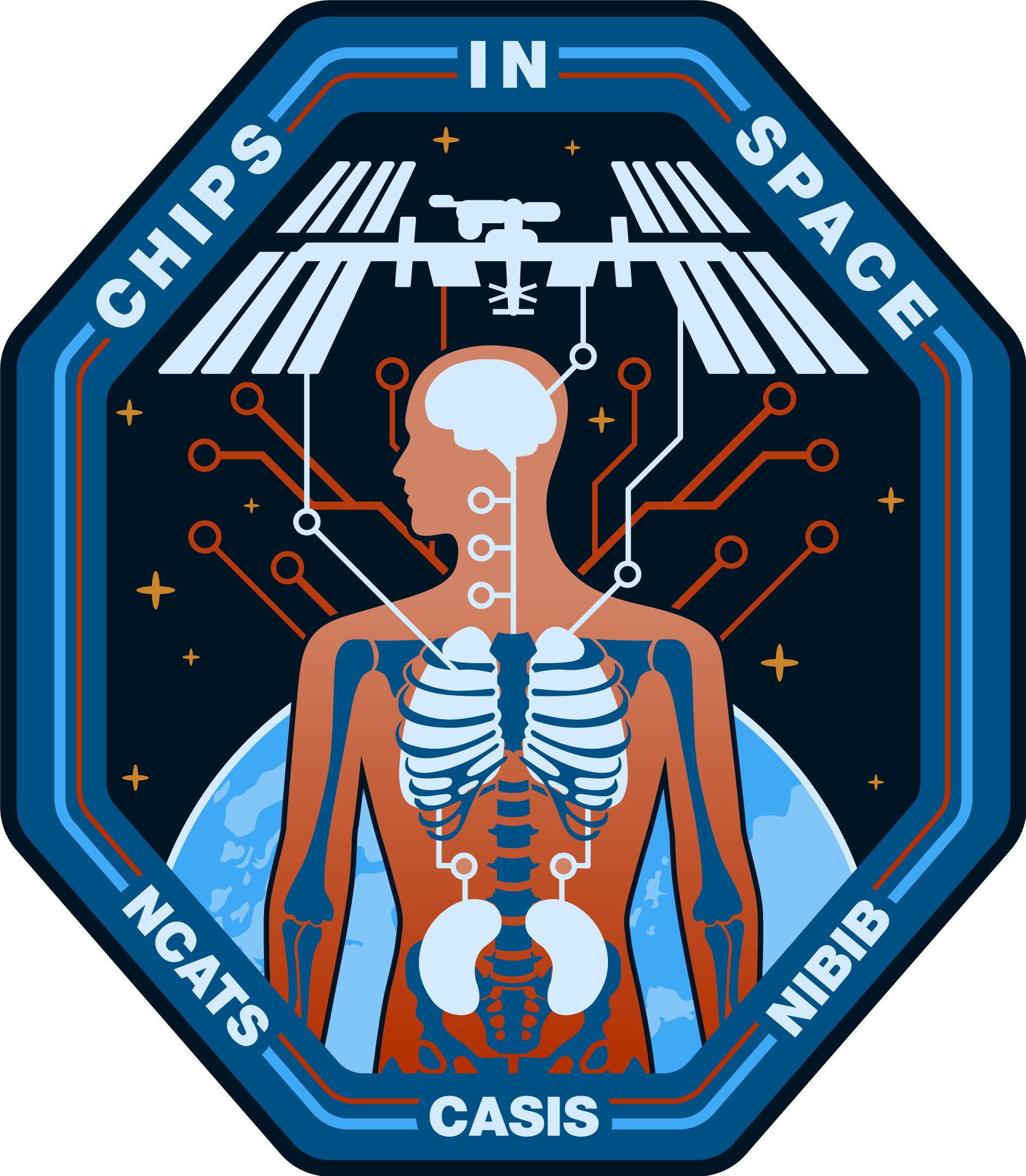 Missione "Tissue in Chips". Credits: NASA
