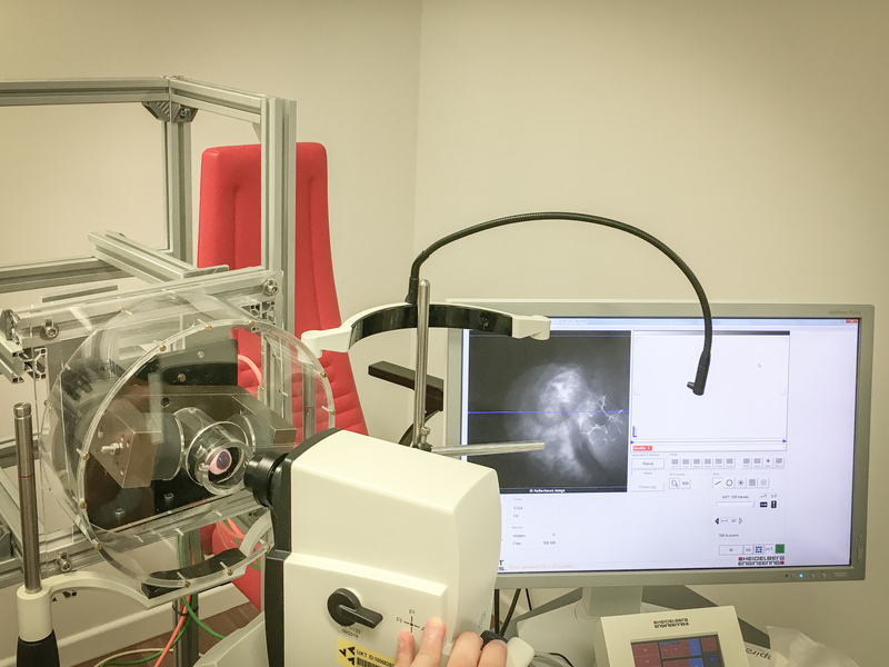I nanorobot sono stati testati su un occhio porcino.Credits: Max Planck Institute for Intelligent Systems