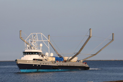 Ecco Mr Steven di SpaceX, PH: mercurynews.com