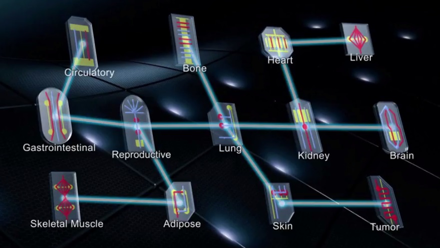 Un chip per ogni parte del corpo. Credits: humantoxicologyproject.org